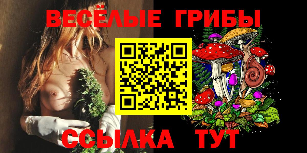 Псилоцибиновые грибы мицелий  Вход с VPN  Пугачёв  Псилоцибиновые грибы прущие грибы 