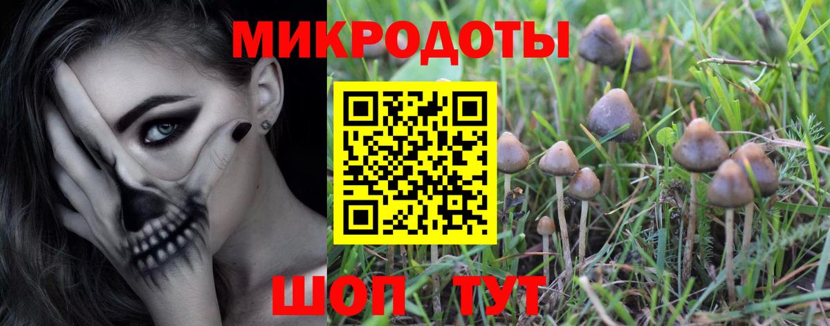 Галлюциногенные грибы Psilocybe Пугачёв